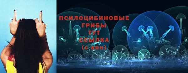 прущая мука Бронницы